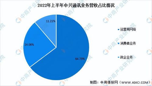 2022年中國通信設(shè)備行業(yè)市場前景及投資研究報告（簡版） 聚焦信息系統(tǒng)集成服務(wù)